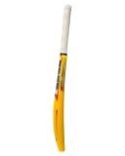 SS Plastic Bat